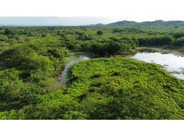  Land for sale in Restrepo, Meta, Restrepo