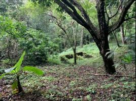 Studio Villa zu verkaufen in Las Minas, Herrera, Leones, Las Minas, Herrera