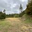  Land for sale in Nargana, Kuna Yala, Nargana, Kuna Yala, Kuna Yala
