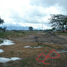  Terreno (Parcela) en venta en Tolima, Ibague, Tolima