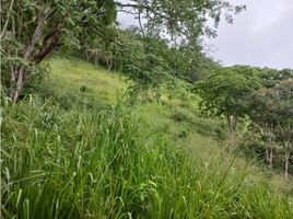 1 Habitación Casa en venta en Colombia, Chaguani, Cundinamarca, Colombia