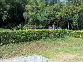  Land for sale in Caldas, Manizales, Caldas