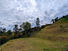  Terreno (Parcela) en venta en El Carmen De Viboral, Antioquia, El Carmen De Viboral