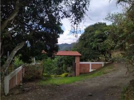 3 Habitación Villa en venta en Cundinamarca, El Penon, Cundinamarca