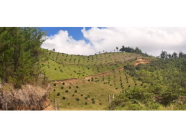 2 Habitación Casa en venta en Colombia, Abejorral, Antioquia, Colombia