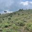  Land for sale in San Vicente, Antioquia, San Vicente