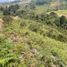  Land for sale in San Vicente, Antioquia, San Vicente