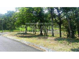  Land for sale in Chame, Panama Oeste, Sora, Chame