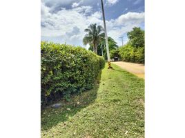  Land for sale in Melgar, Tolima, Melgar