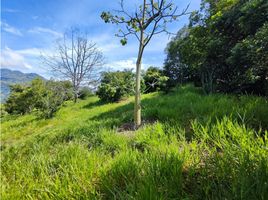  Terreno (Parcela) en venta en Girardota, Antioquia, Girardota