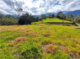  Terreno (Parcela) en venta en Girardota, Antioquia, Girardota