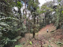  Land for sale in Medellin, Antioquia, Medellin, Antioquia, Colombia