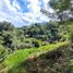  Land for sale in Girardota, Antioquia, Girardota