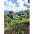  Terreno (Parcela) en venta en Girardota, Antioquia, Girardota