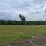  Land for sale in Cauca, Santander De Quilichao, Cauca