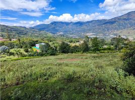  Land for sale in Envigado, Antioquia, Envigado