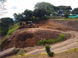  Terreno (Parcela) en venta en Manizales, Caldas, Manizales