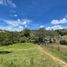  Land for sale in Arboletes, Antioquia, Arboletes