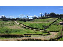  Terreno (Parcela) en venta en El Carmen De Viboral, Antioquia, El Carmen De Viboral