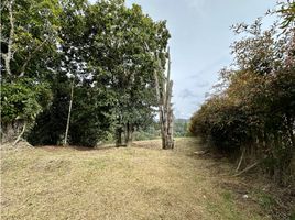  Land for sale in Envigado, Antioquia, Envigado