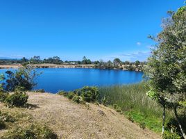  Terreno (Parcela) en venta en Chile, Calbuco, Llanquihue, Los Lagos, Chile