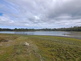  Terreno (Parcela) en venta en Chile, Ancud, Chiloé, Los Lagos, Chile