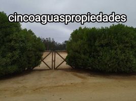  Terreno (Parcela) en venta en Valparaíso, Nogales, Quillota, Valparaíso