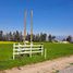  Terreno (Parcela) en venta en Cachapoal, Libertador General Bernardo O'Higgins, Requinao, Cachapoal
