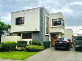 5 Schlafzimmer Villa zu verkaufen in Cautin, Araucania, Nueva Imperial