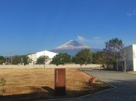  Terreno (Parcela) en venta en Atlixco, Puebla, Atlixco