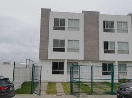 在Puebla出租的4 卧室 屋, Puebla, Puebla