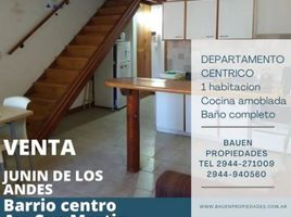 1 Bedroom Apartment for sale in Huiliches, Neuquen, Huiliches