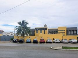 3,850 m² Office for rent in Merida, Yucatan, Merida