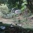  Grundstück zu verkaufen in Pereira, Risaralda, Pereira, Risaralda