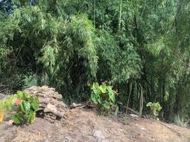  Grundstück zu verkaufen in Pereira, Risaralda, Pereira, Risaralda