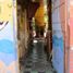  Land for sale in Cuauhtemoc, Mexico City, Cuauhtemoc