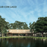  Land for sale in Sudzal, Yucatan, Sudzal