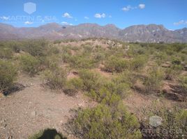  Terreno (Parcela) en venta en Tinogasta, Catamarca, Tinogasta