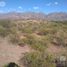  Land for sale in Tinogasta Catamarca, Tinogasta, Catamarca