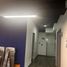 330 m² Office for rent in FazWaz.de, Miguel Hidalgo, Mexico City, Mexiko