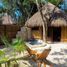 Estudio Quinta en venta en Cozumel, Quintana Roo, Cozumel, Quintana Roo