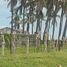  Land for sale in San Marcos, Guerrero, San Marcos