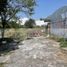  Land for sale in Monterrey Nuevo Leon, Monterrey