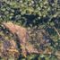 Land for sale in Ciudad Venustiano Carranza, Jalisco, Ciudad Venustiano Carranza