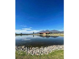 Terreno (Parcela) en venta en Ameca, Jalisco, Ameca