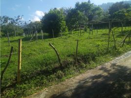  Land for sale in Palmira, Valle Del Cauca, Palmira