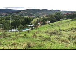  Land for sale in La Cumbre, Valle Del Cauca, La Cumbre