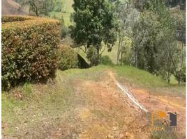  Terreno (Parcela) en venta en San Pedro De Los Milagros, Antioquia, San Pedro De Los Milagros