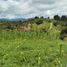  Land for sale in Penol, Antioquia, Penol