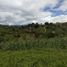  Land for sale in Penol, Antioquia, Penol